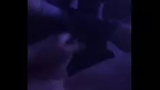 Reproduzir Loiro