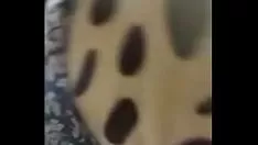 Oynat sl cam missy ayrı 1