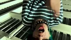 Rit0rukai se la border con todo al flow from
