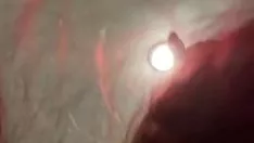Abspielen Bbw Kitty-Cat-Spielzeug. großer Whitney