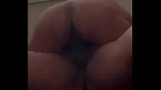 تشغيل صوفيا سكولونيا