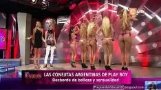 Reproducir Strobilusjitas genero argentinas en republica del peru