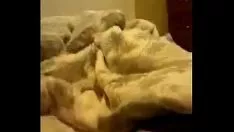 تشغيل فيد 20131026 023839181